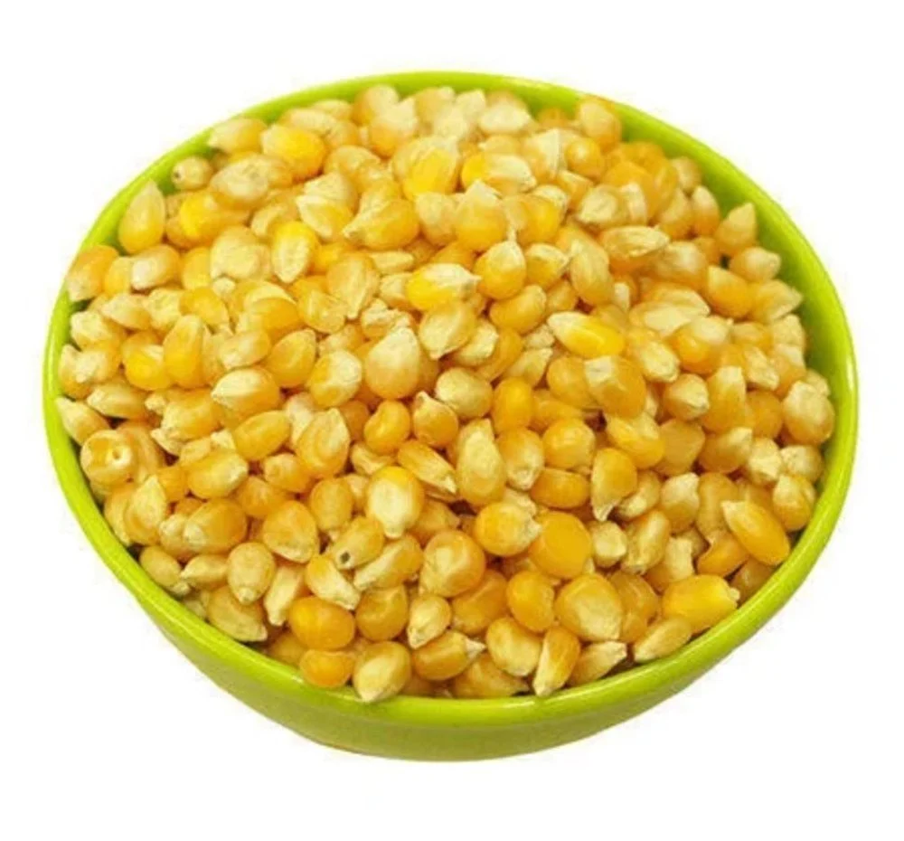 Maize & Flour